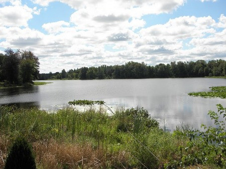 aapleasant-lake